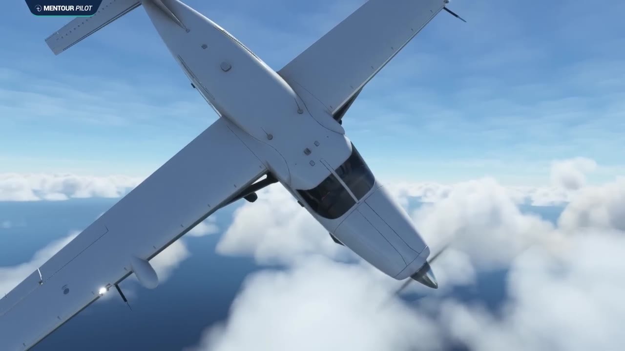 The pilot collapsed at 10,000 feet then a passenger with no flight ...