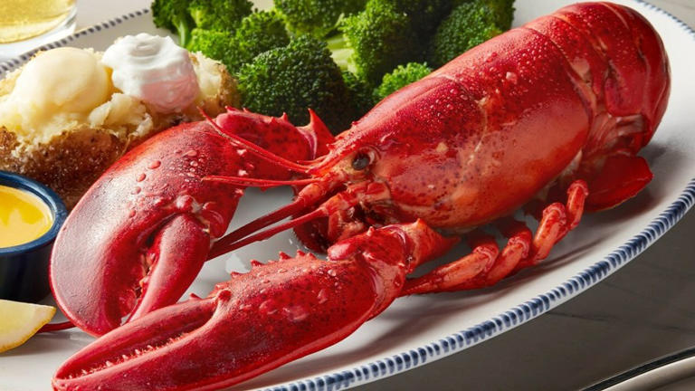Best places in western Massachusetts to go for National Lobster Day