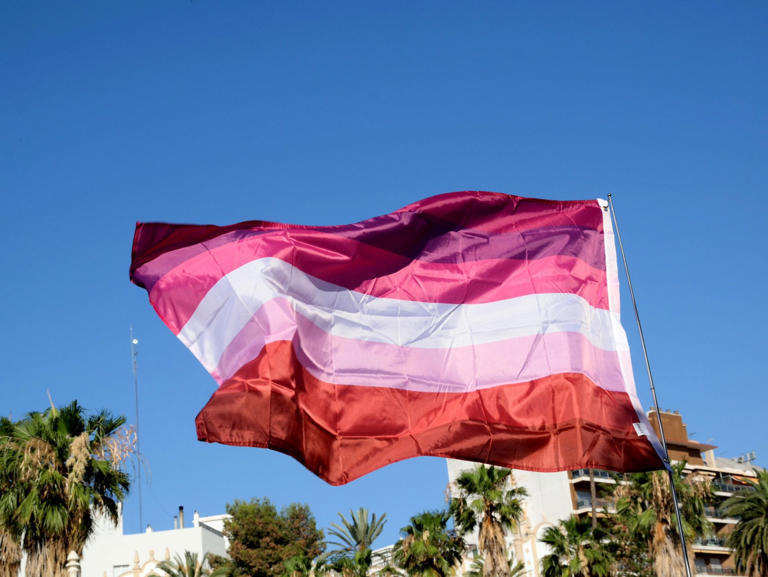 Viral COVID-conscious lesbian bar announces closure after online drama