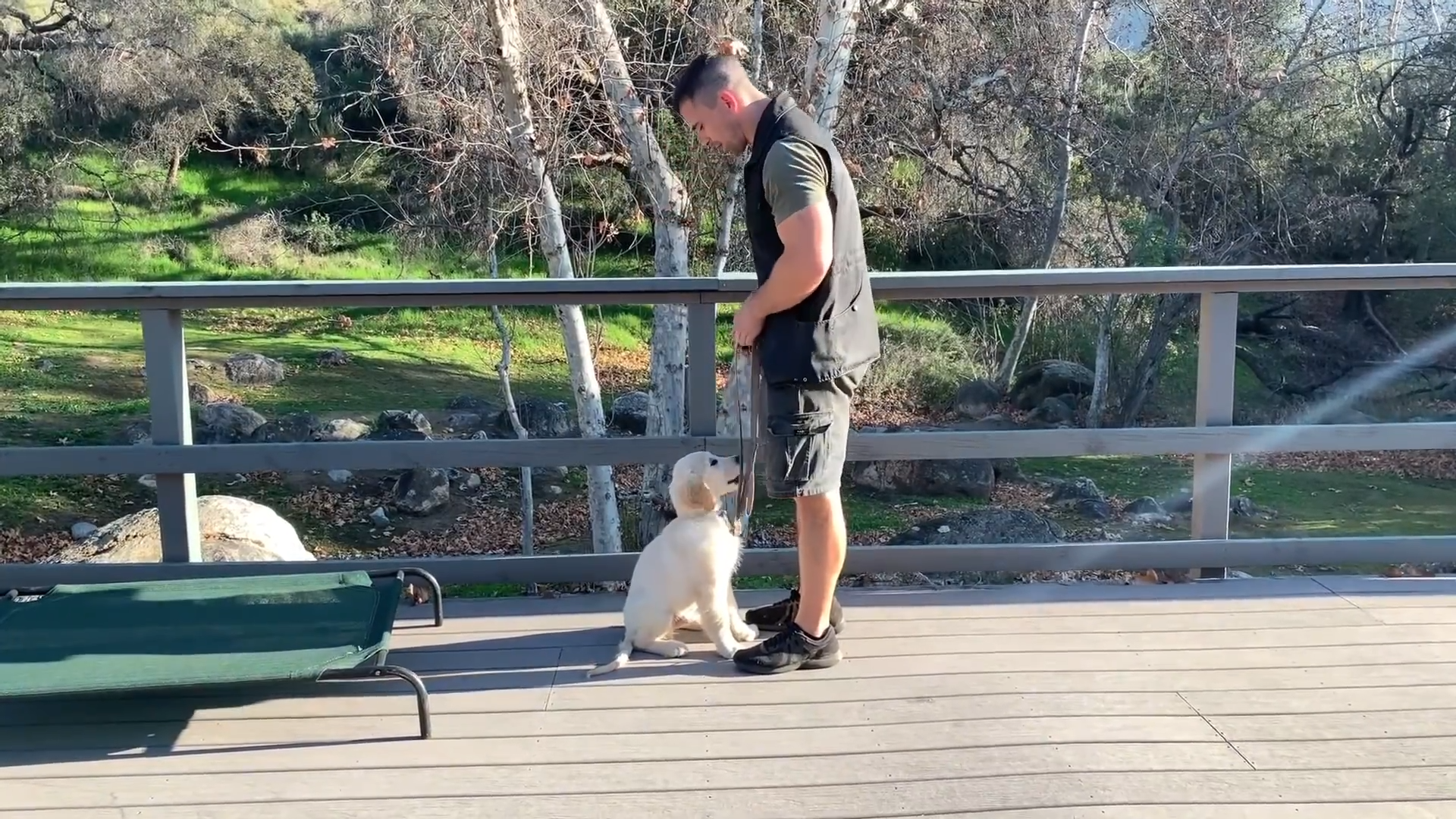 If your dog ignores “come,” you may be accidentally teaching them to ...