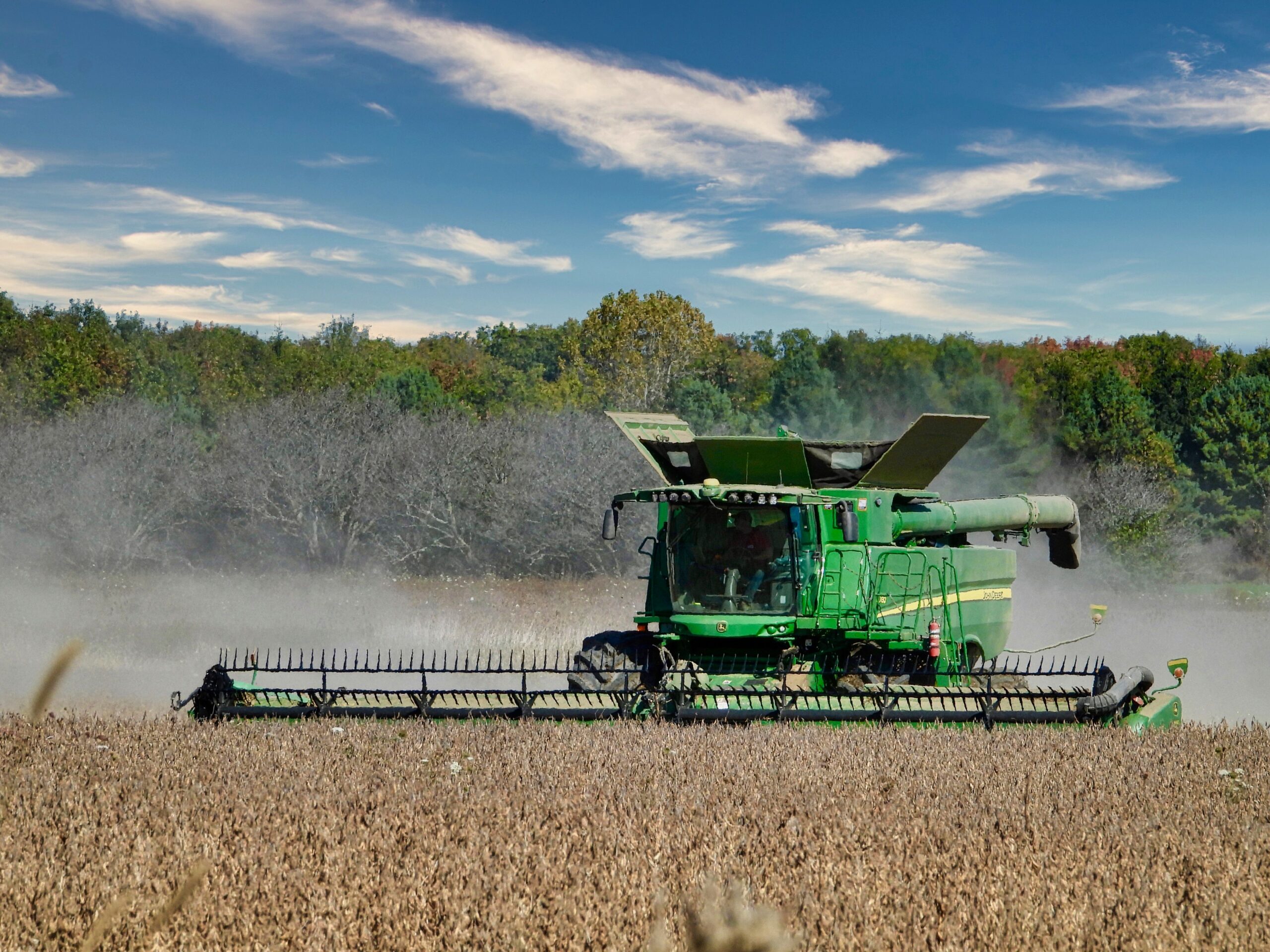 A new report says Canada could add $5.4 billion by processing more of ...