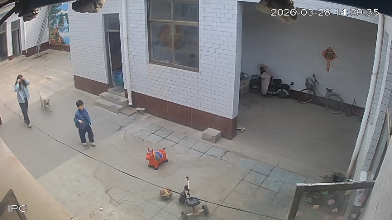 Boy falls after jumping off animal ride-on toy in Hebei