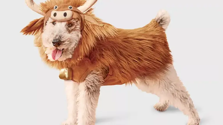 Target's $15 Highland cow pet costume turns dogs and cats into the ...