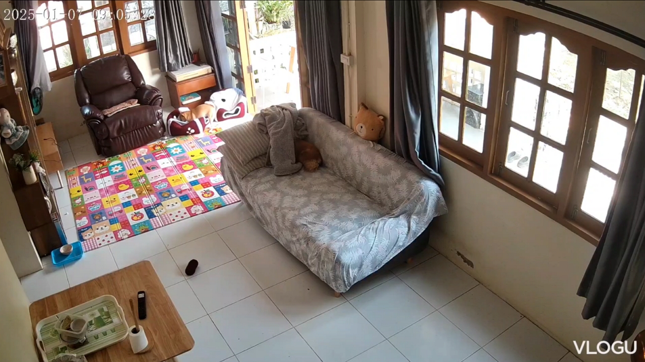 Funny dogs caught having a hilarious interaction on security camera in ...