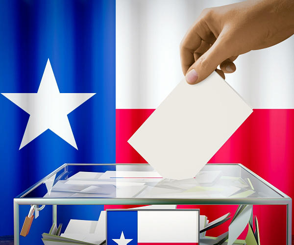 Texas senator faults state's handling of voter registration error