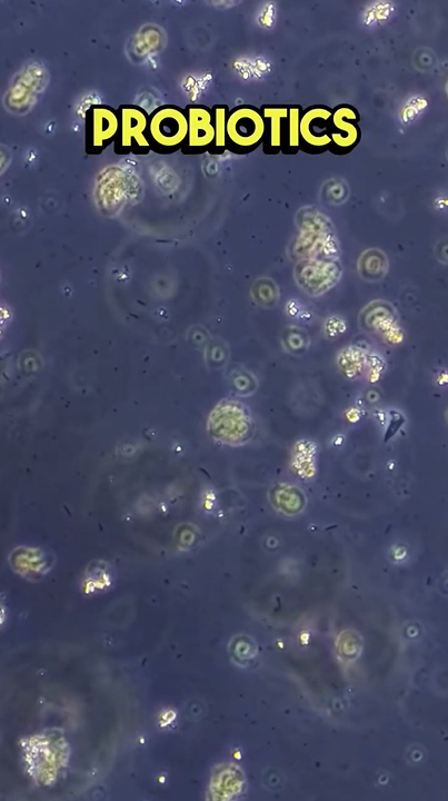 Amazing coconut details revealed under a microscope