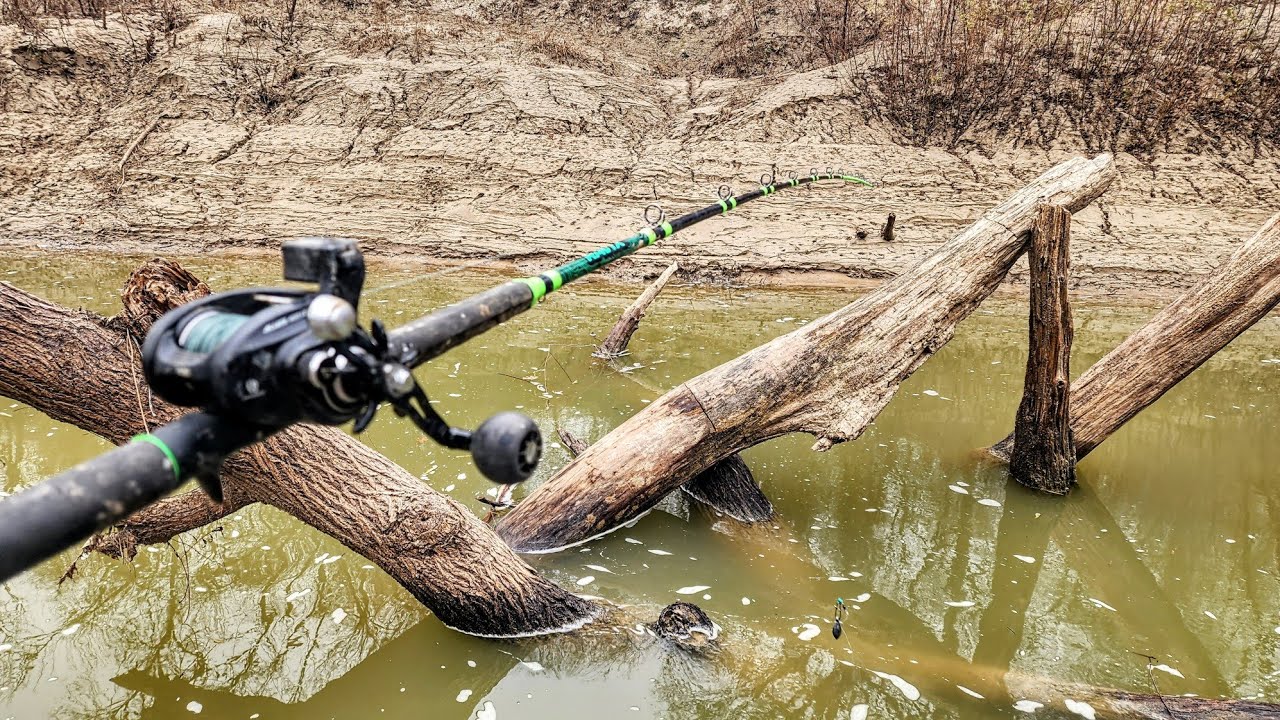 Big fish are hiding in these submerged brush piles