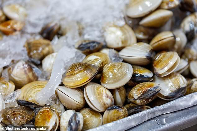 Outbreak of life-threatening liver disease sparked in connection to ...