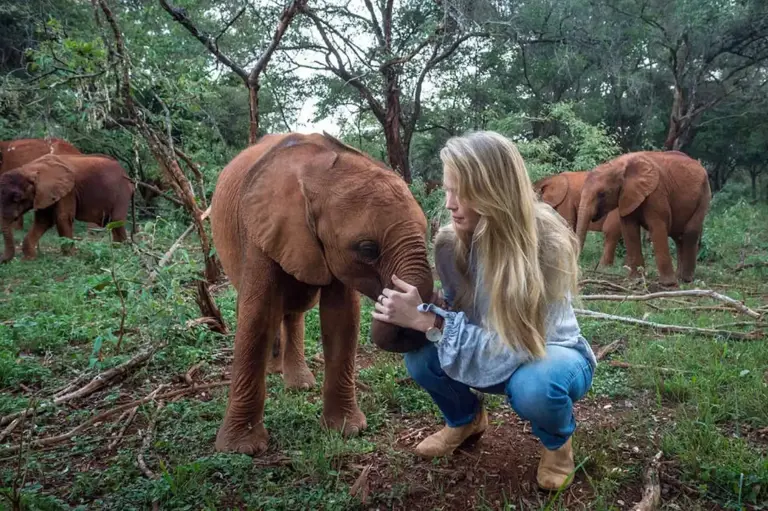 A poacher's snare nearly cost this baby elephant her life: 'One of the ...