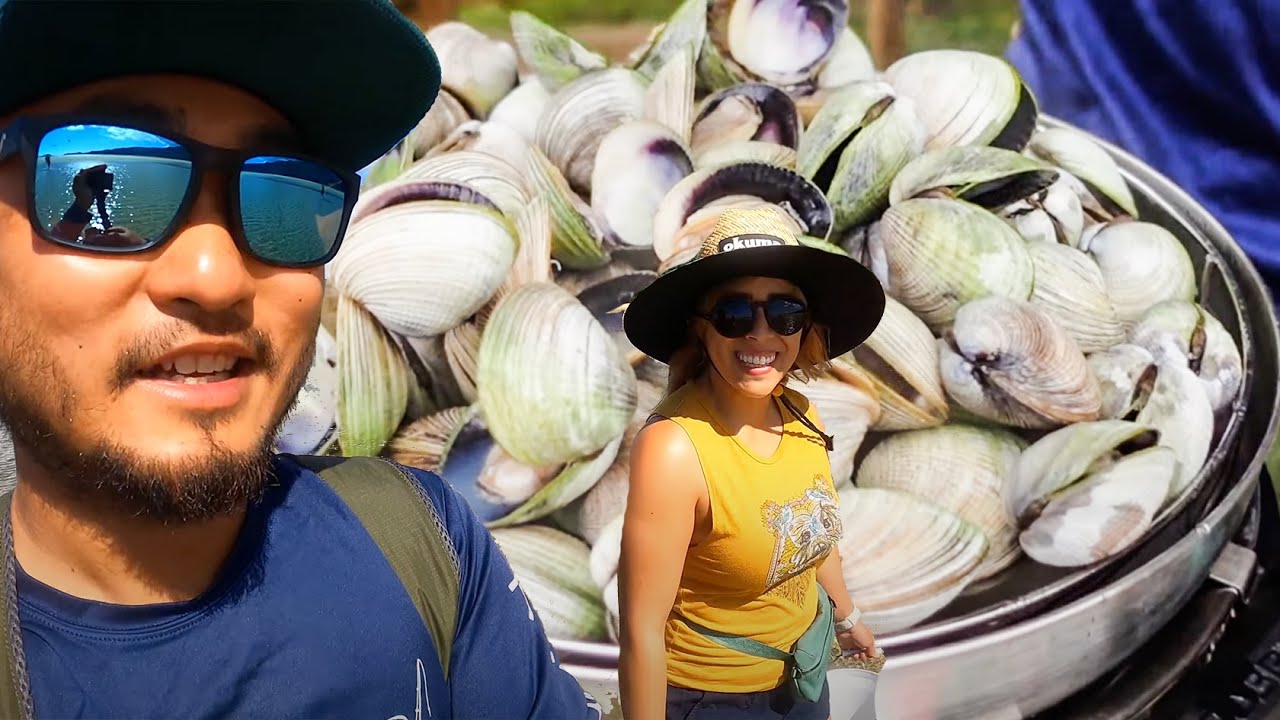Coastal foraging is easy here