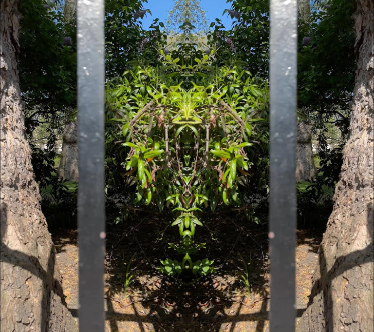 Turner Prize winner Mark Wallinger brings major new exhibition to ...