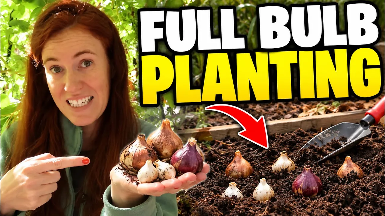Planting spring bulbs? Do this before you bury them