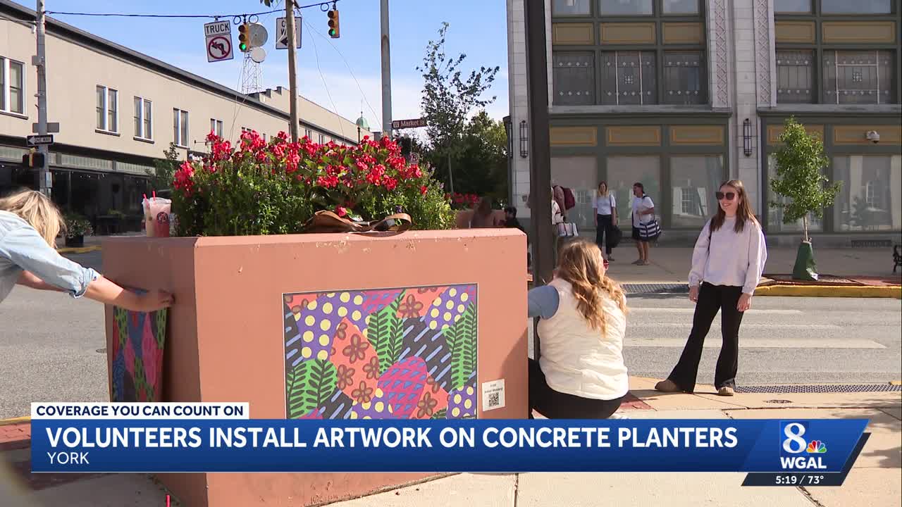 Work of 17 artists is now on display in downtown York