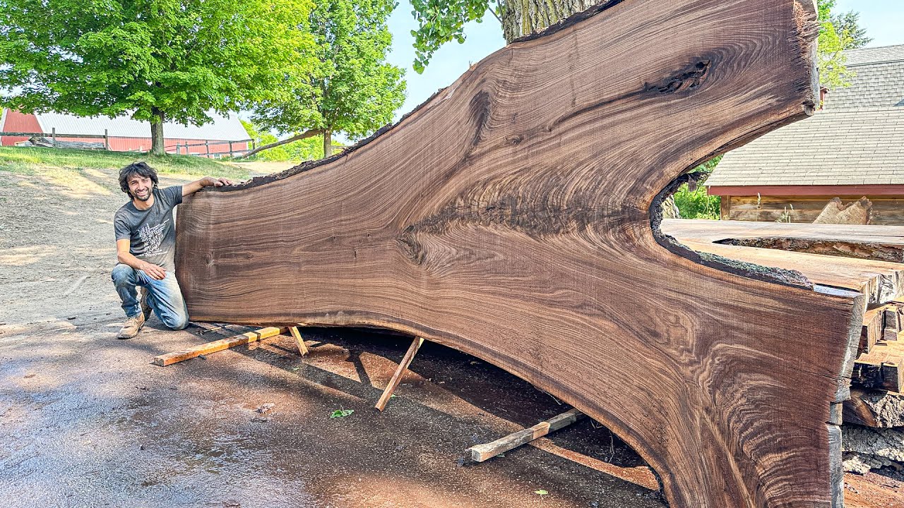 Watch walnut crotch turn to lumber 😲