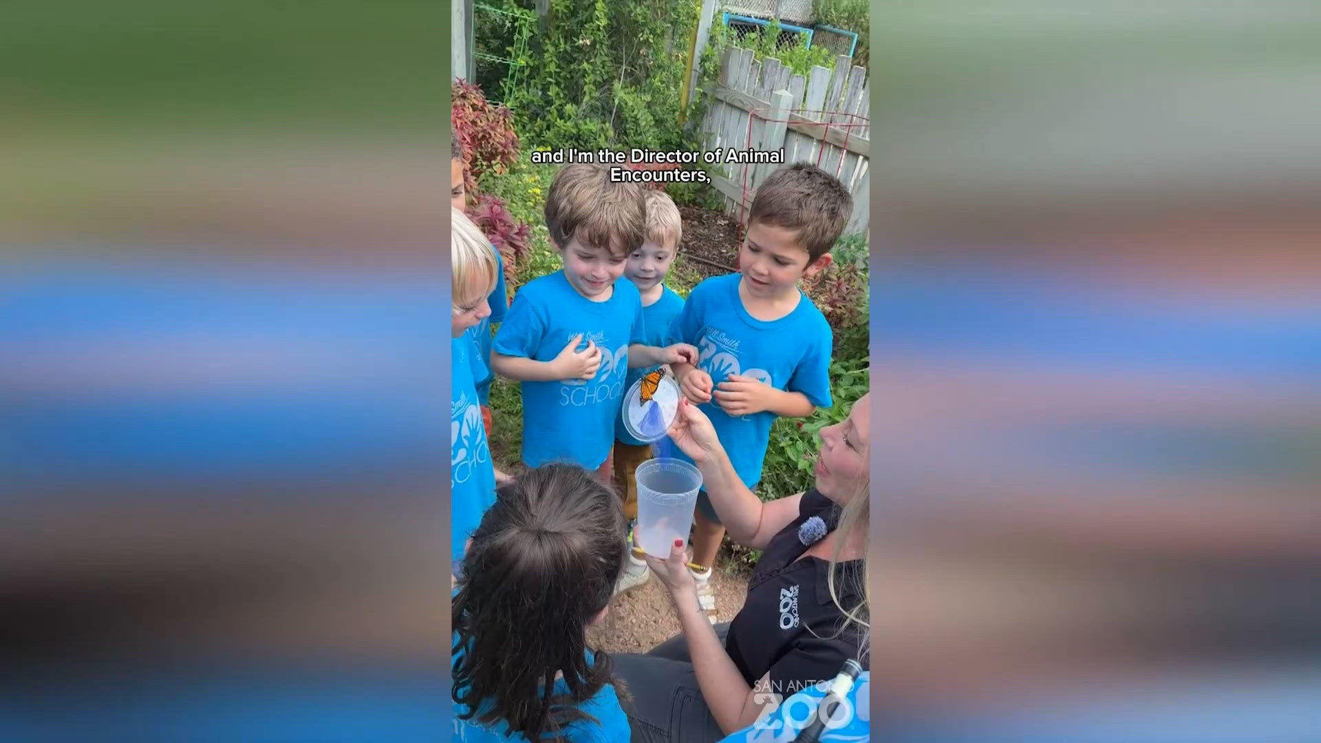San Antonio Zoo honors Dolly Parton with monarch butterfly release on ...