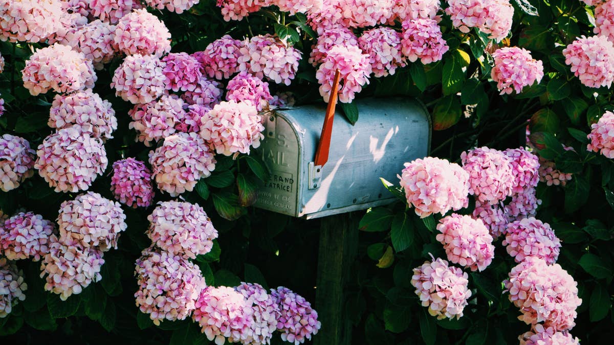 5 mailbox landscaping ideas that don't need constant upkeep