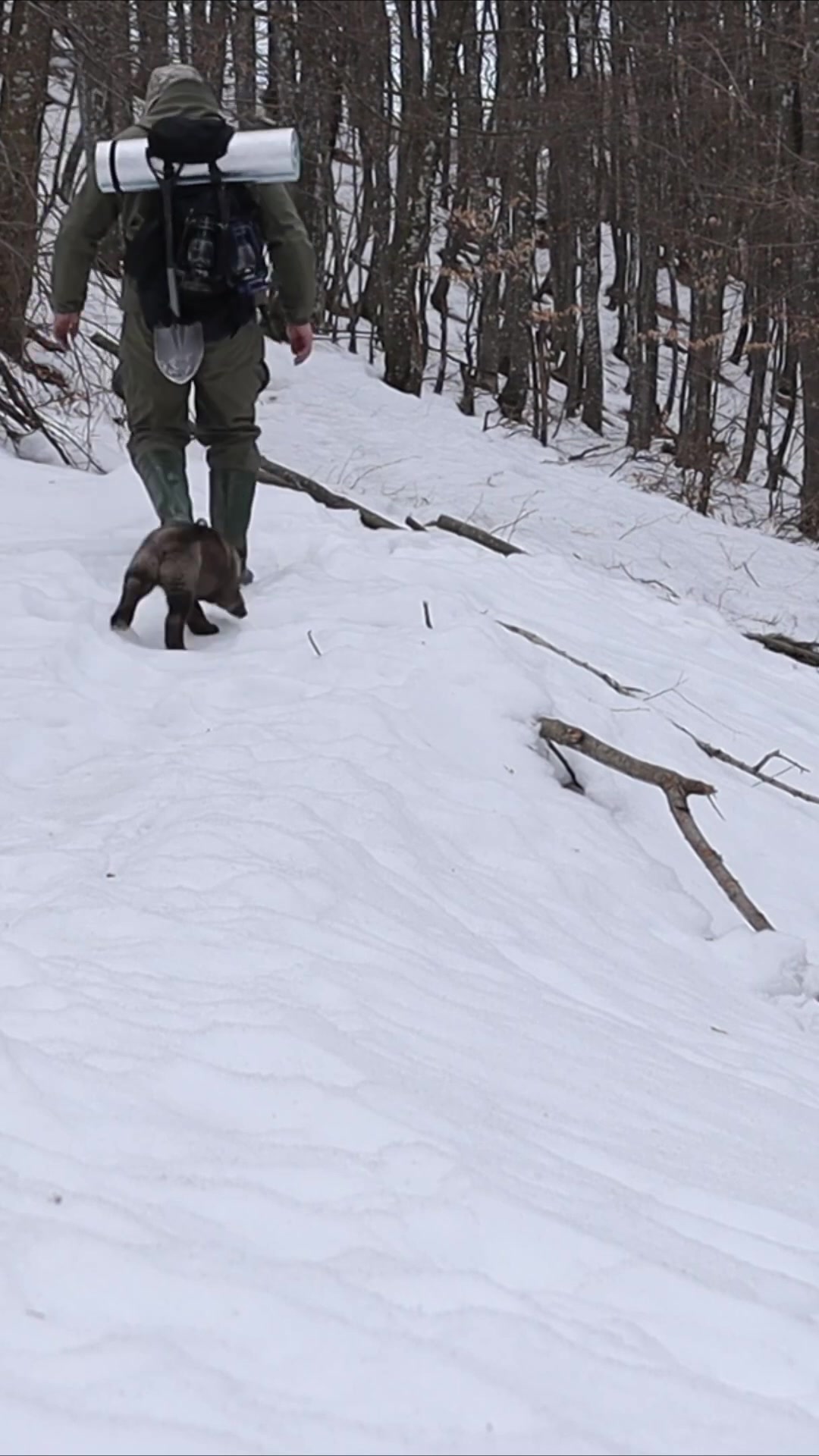 Solo winter bridge build: Handcrafted log bridge in the wilderness