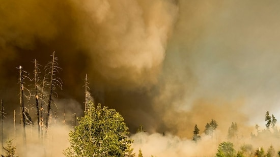 Fire near Tri-Cities and West Richland: Map, evacuation updates as ...