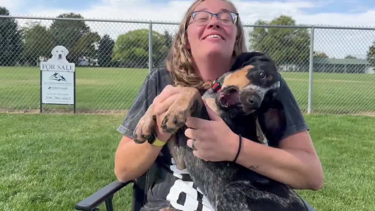 Jerome Animal Shelter achieves no-kill status, free adoptions in October