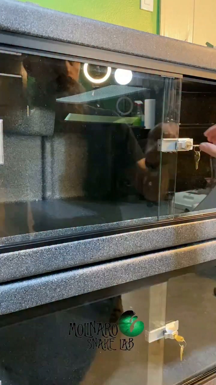 Preparing coconut husk substrate
