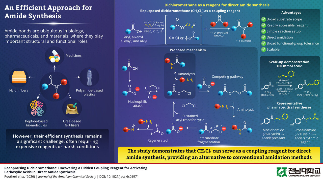 How a century-old solvent can enable efficient amide synthesis