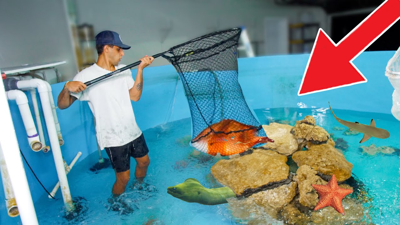 Moving all my giant saltwater fish