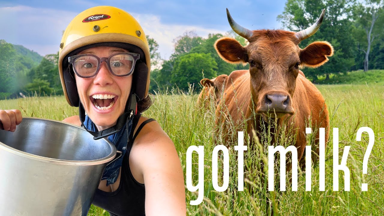 1. Can I Survive Milking My Feral Cow?