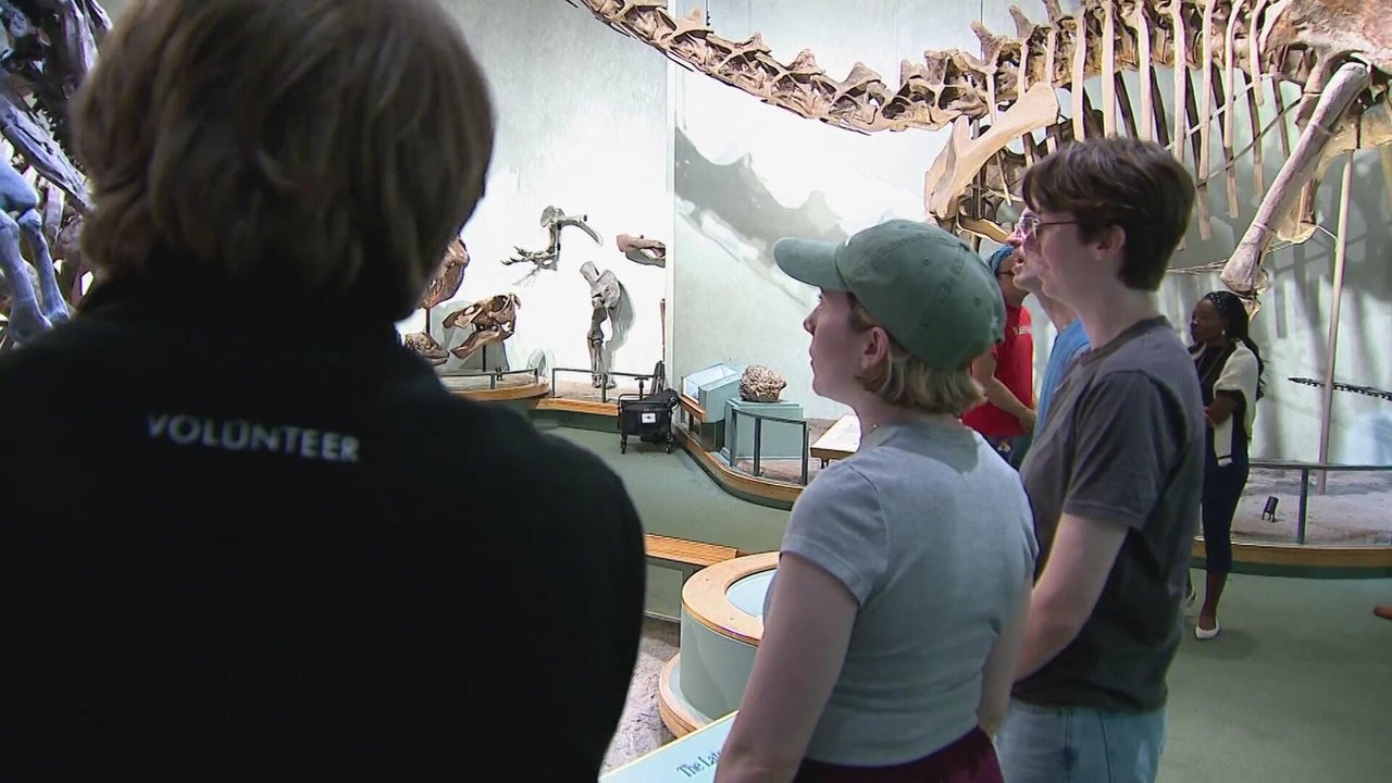 Dinosaur actors check out dinosaur fossils while in Denver