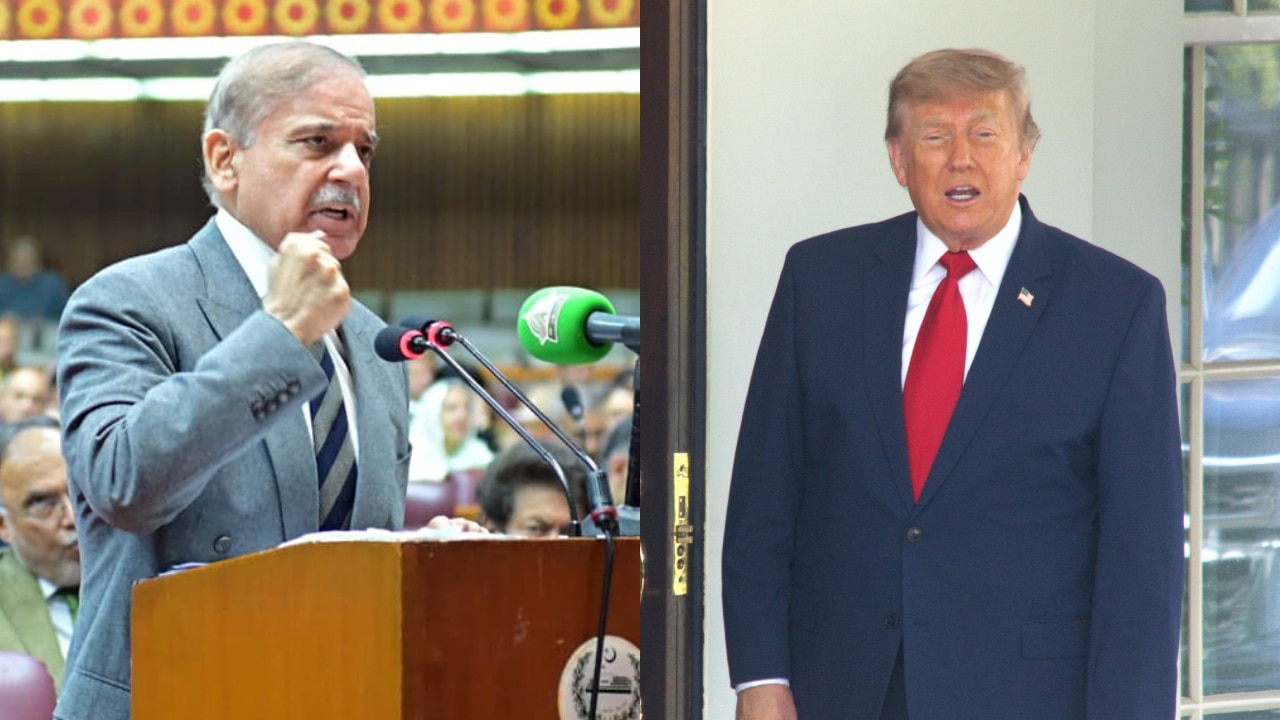 Watch: Shehbaz Sharif raises Kashmir issue at UN, credits Trump for ...