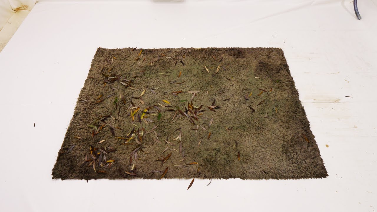 Left under a tree for a year! Carpet cleaning, satisfying rug washing ASMR