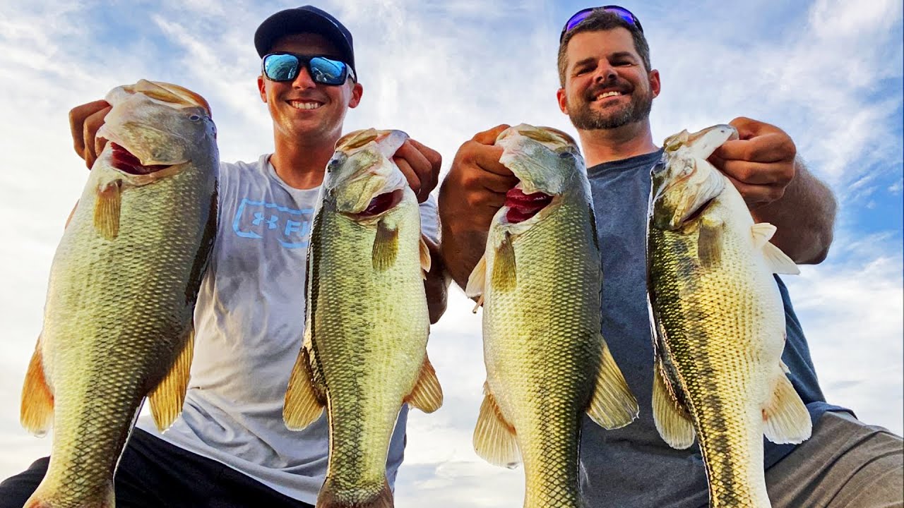 Catching big bass on Lake Guntersville fishing tips