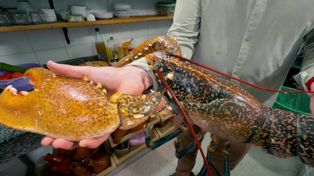 A nine-pound lobster cost $150 at Morocco’s Essaouira seafood market