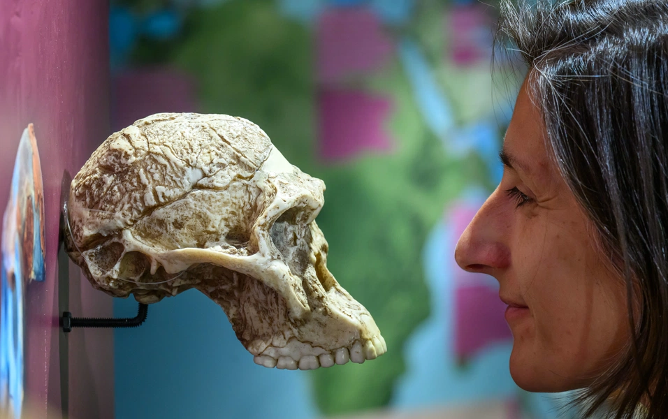 the-incredible-journey-of-homo-sapiens