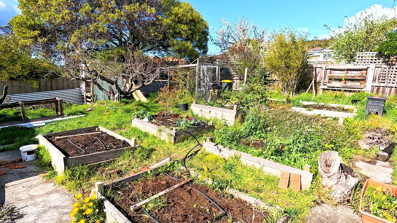 I transformed this chaotic backyard!