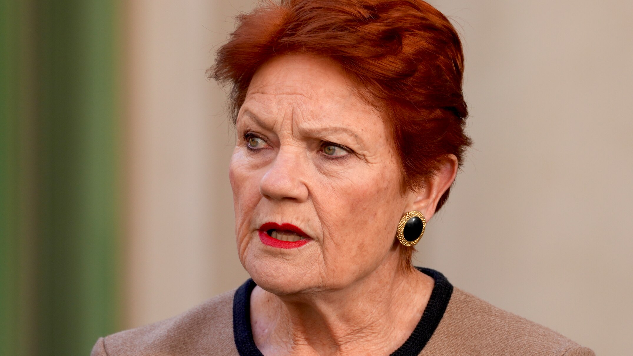 Indigenous leaders condemn Pauline Hanson for 'primitive race' remarks on First Nations Australians