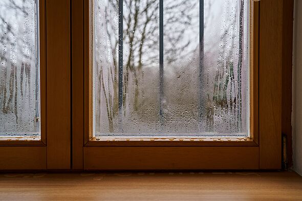 Window condensation will be gone if you use 1 unexpected household item