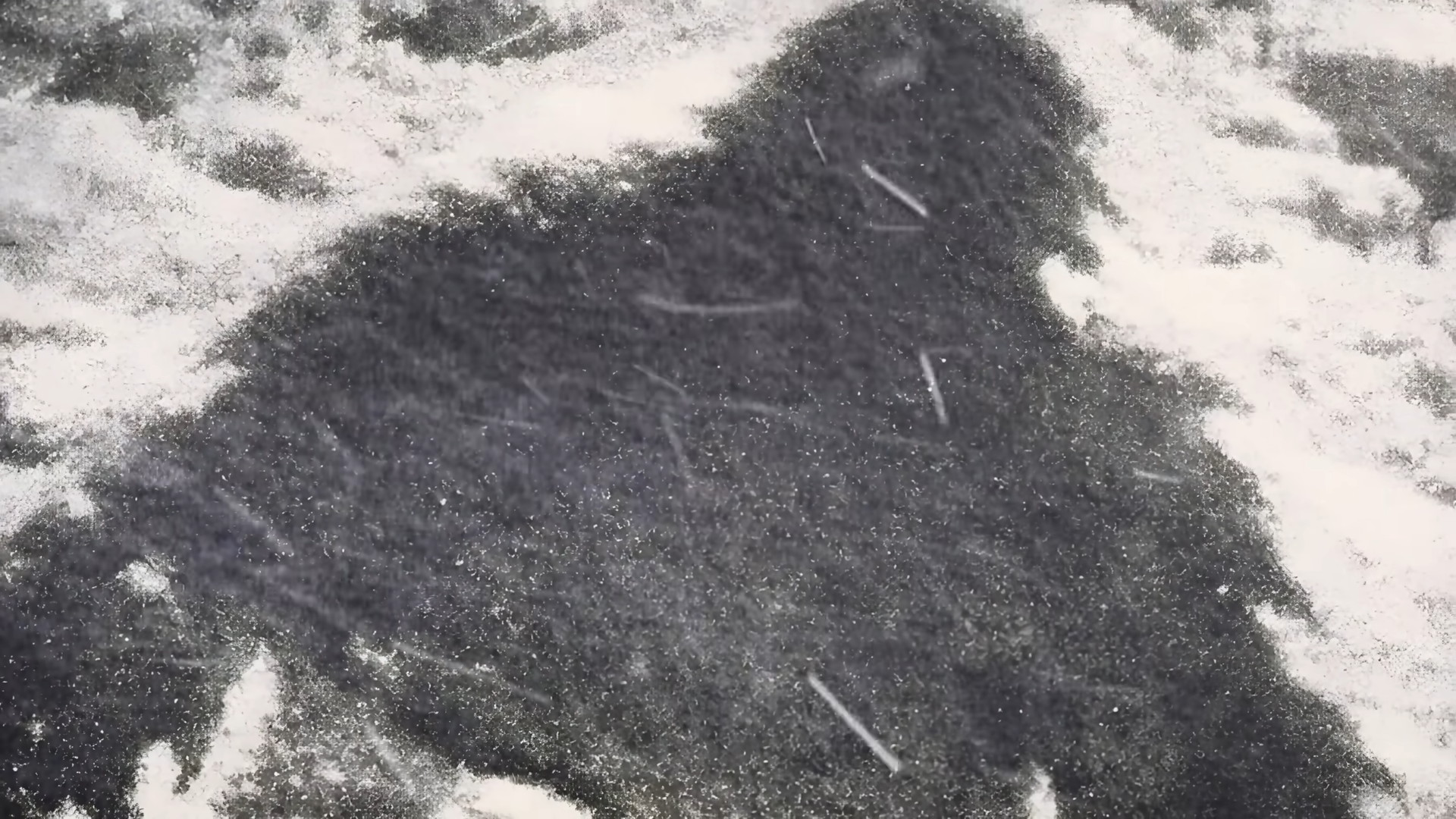 Climbers found 13-inch footprints near Everest - DNA finally revealed ...