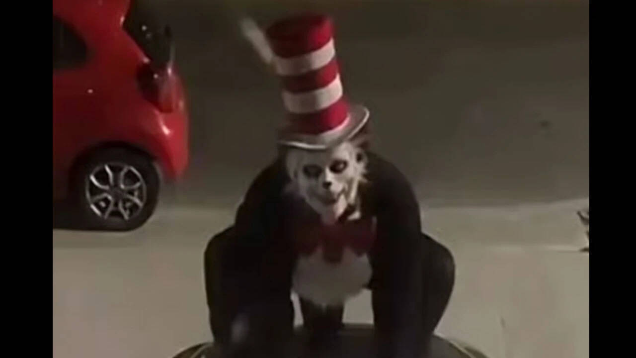 cat-in-the-hat-creepy-viral-trend-sparks-school-warnings-and-teen