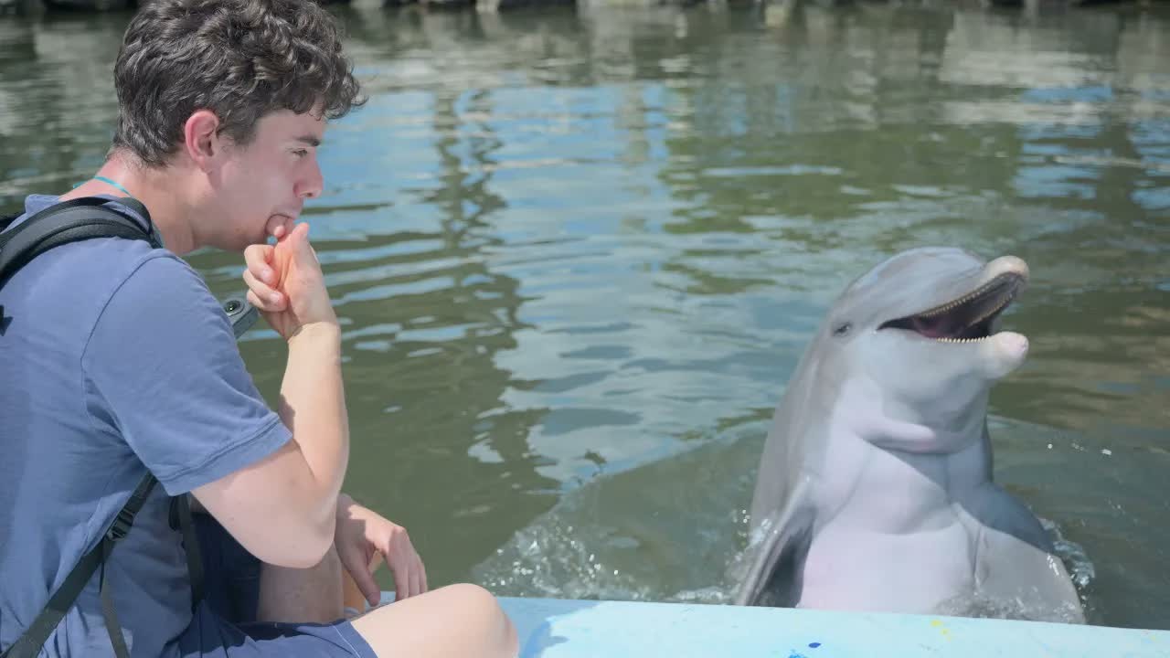 He learned to speak like a dolphin - their reaction was immediate