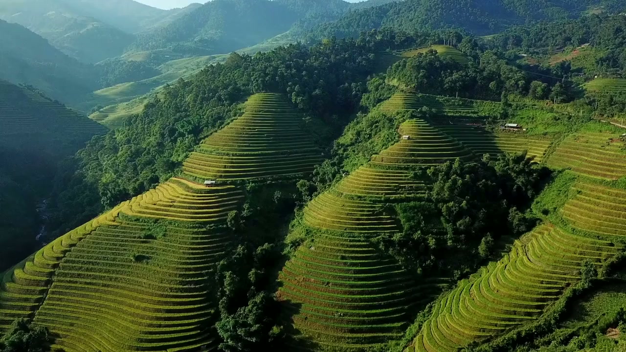 Vietnam's terraced rice fields: Soar over the winding slopes