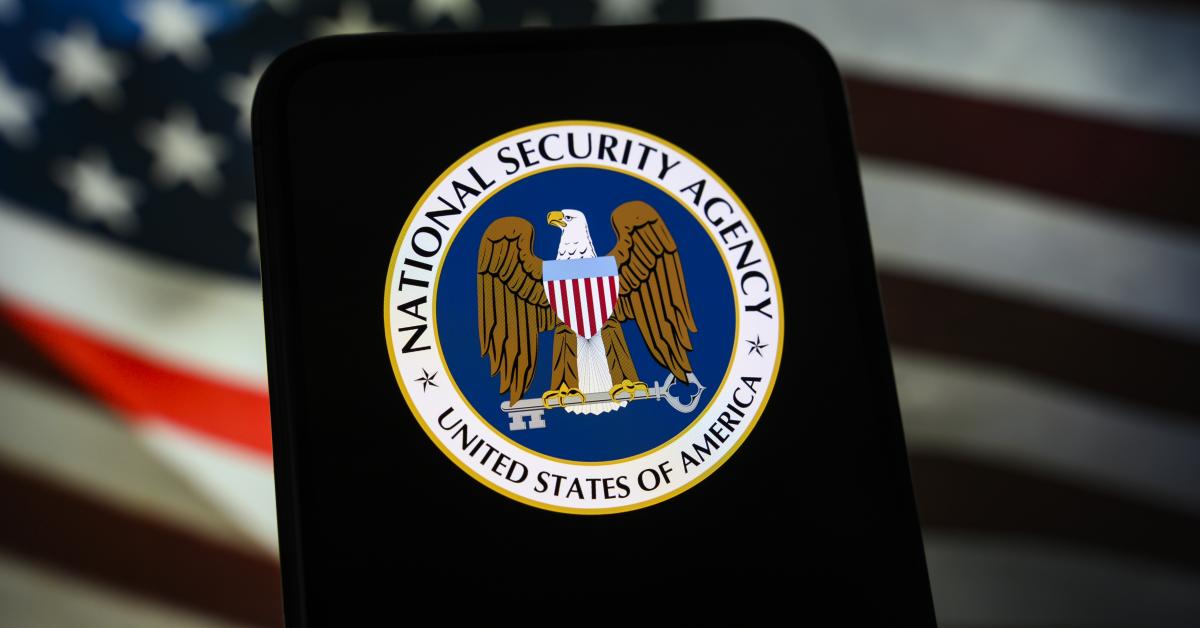NSA cyber division urges organizations to patch security flaws ...
