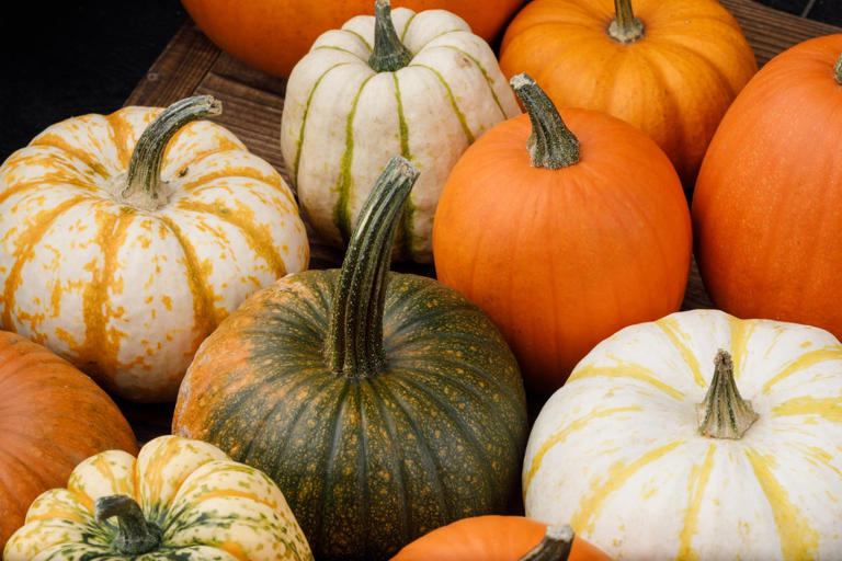 Halloween pumpkins are actually a nutritional gold mine. Here's why