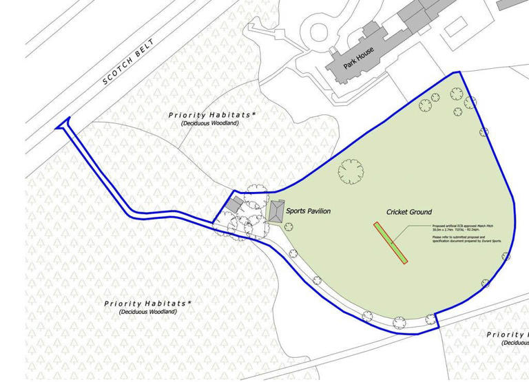 The plans for the new pitch at Sandringham Cricket Ground