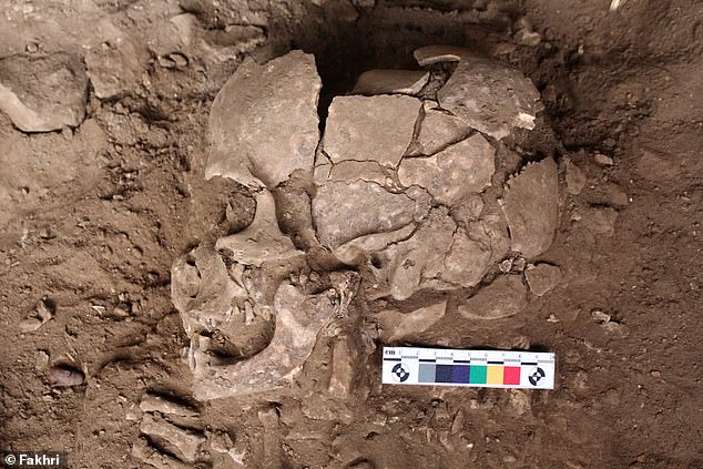 World's oldest drug user: Hunter-gatherer got high on mind-altering ...