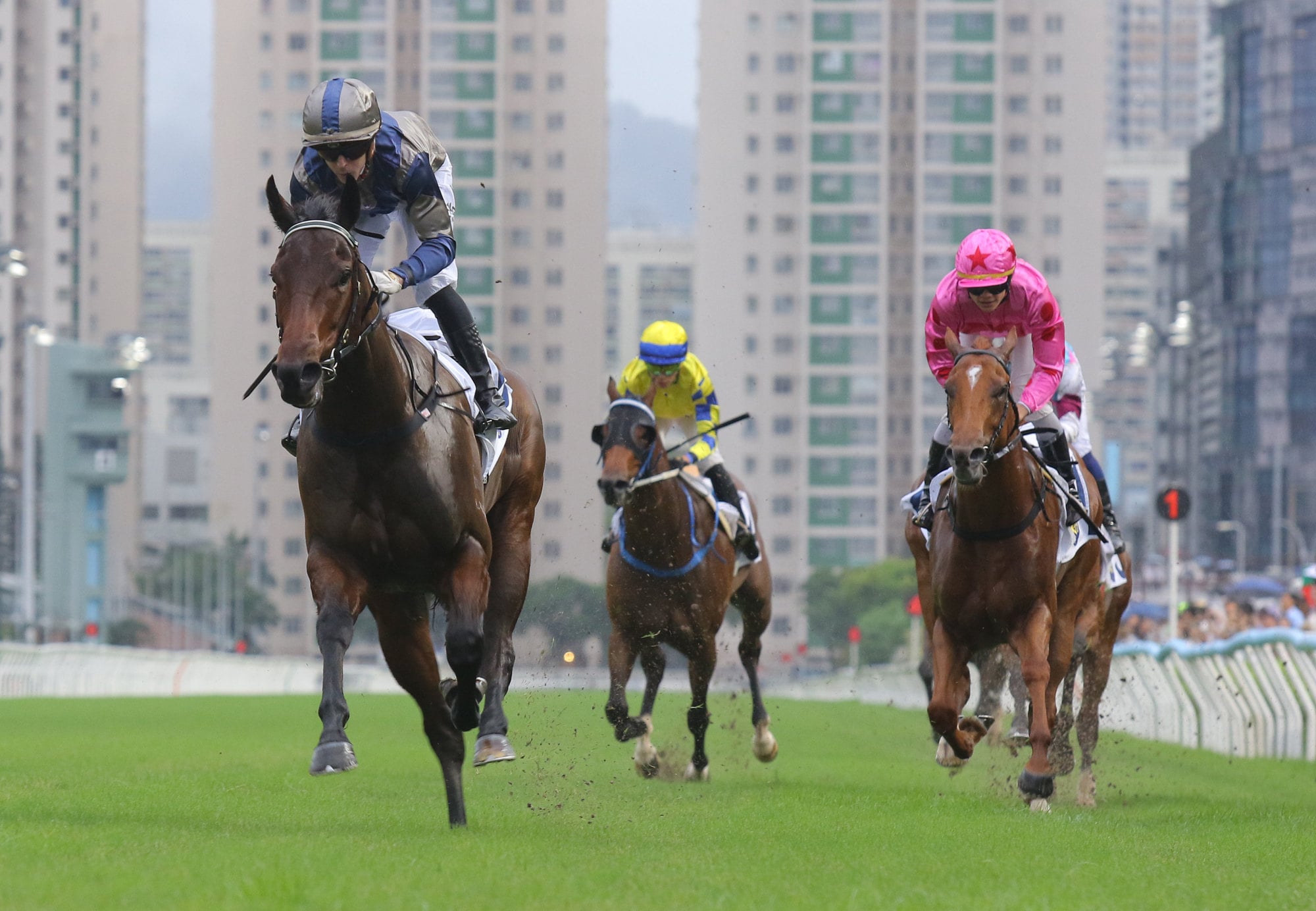 ‘Even Ka Ying Rising got beat’ – David Hayes itching to prove Jedi ...