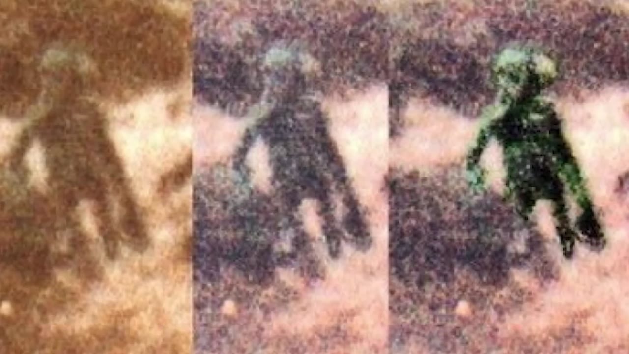 A former police officer says he saw an alien in the fog, then his ...