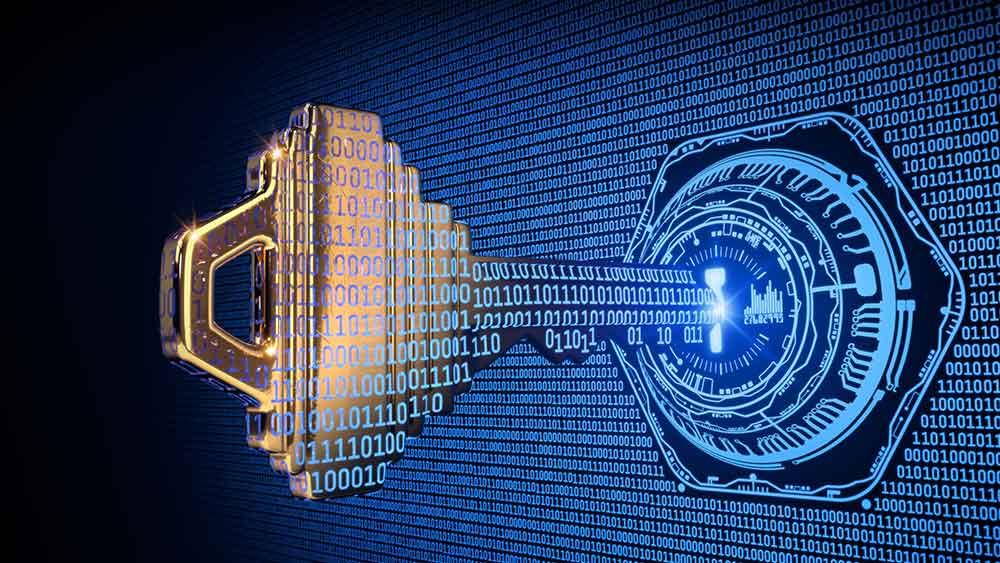 Stock market today: Dow falls, Trump hits out at AI fears; these cyber stocks near entries (live coverage)
