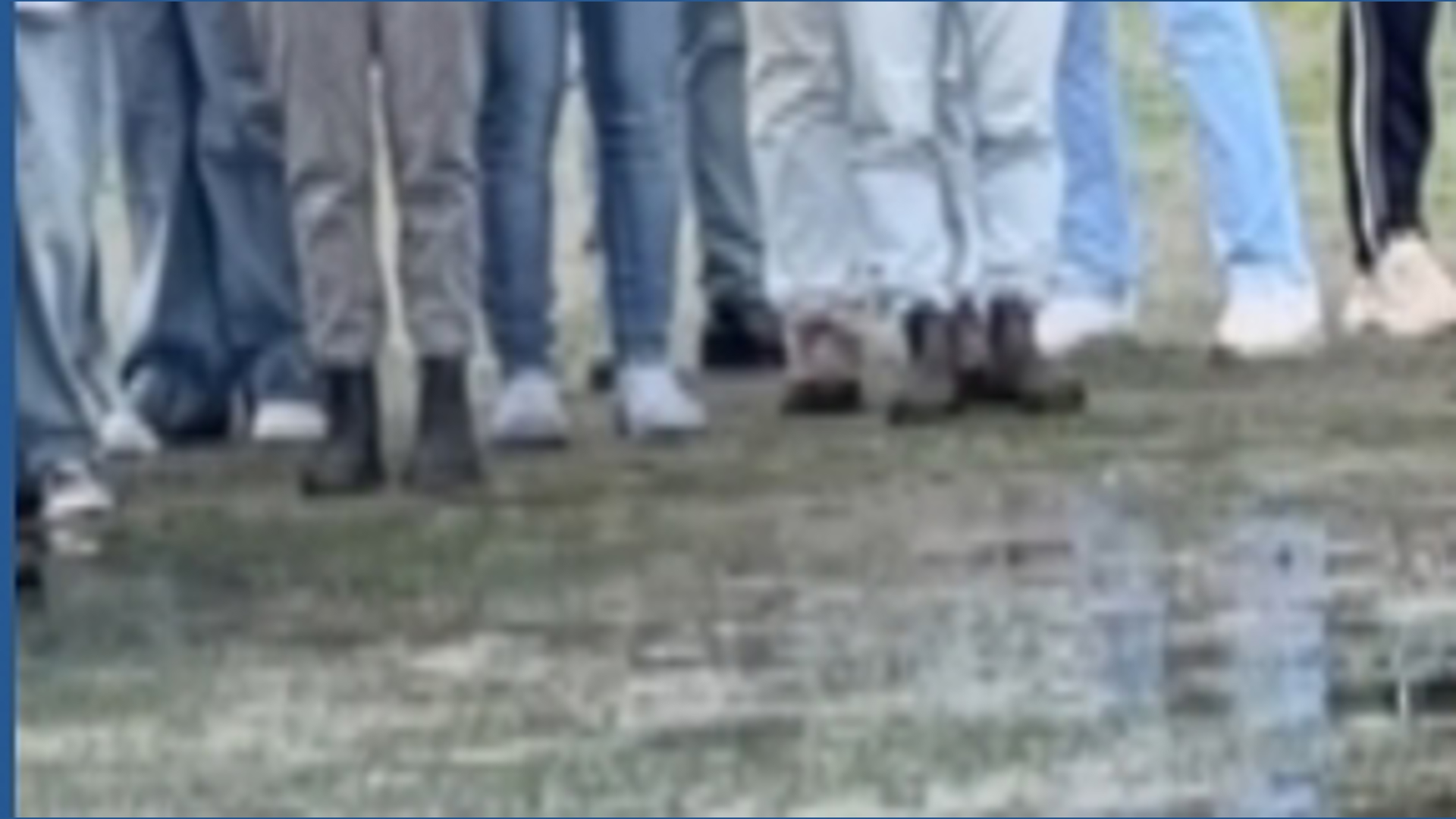 Harbor seal pup released after rehabilitation