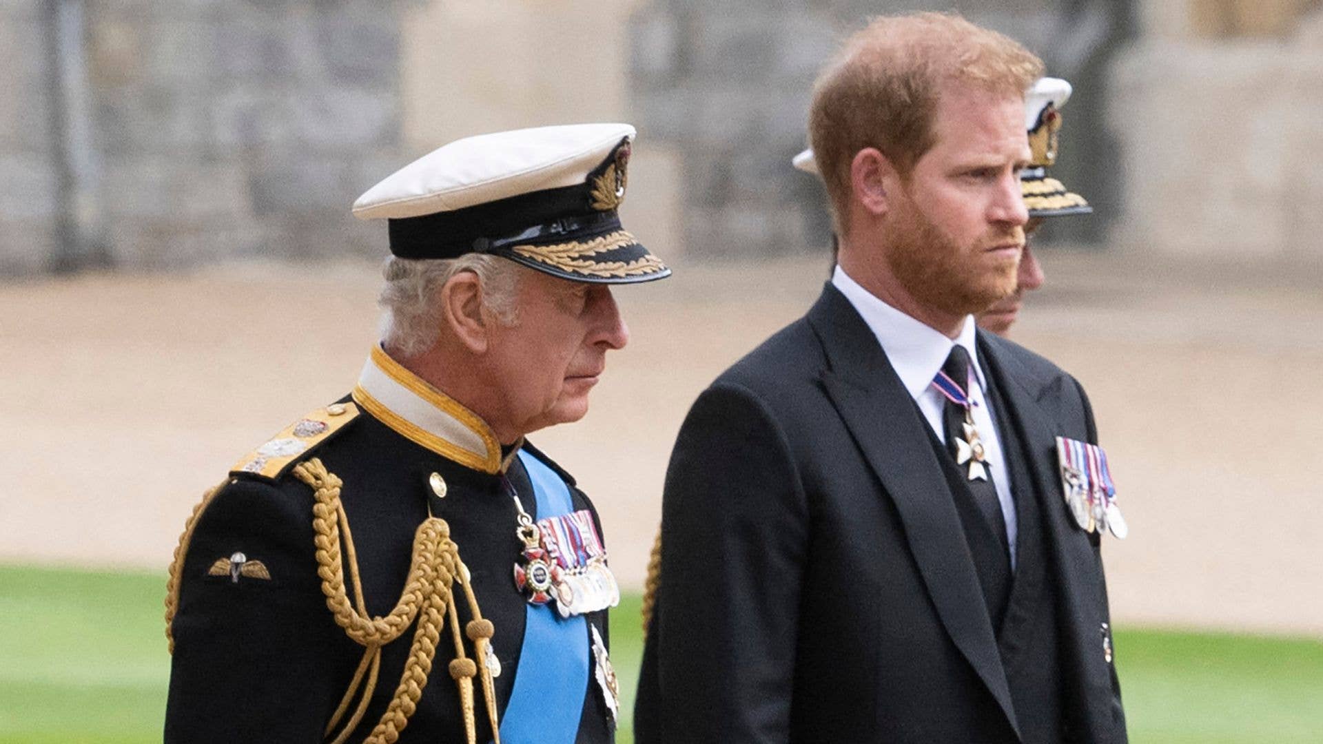 Prince Harry, Duke of Sussex, stands beside King Charles both in formal attire with medals, on a grassy area.