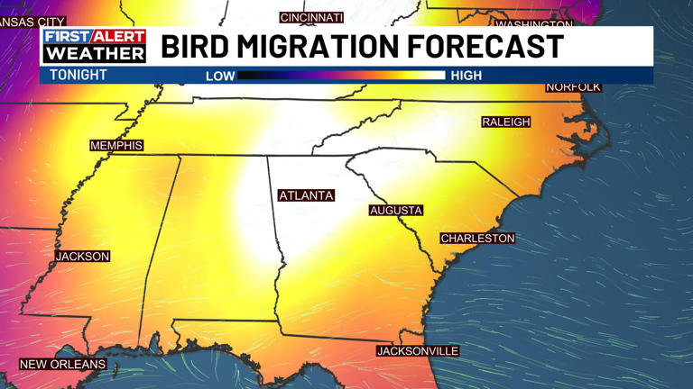How weather radar follows bird migration across the CSRA